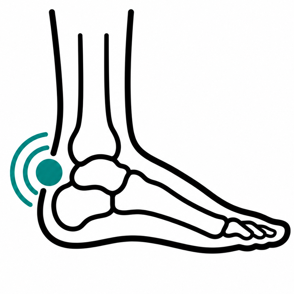 Class IV Laser & Shockwave Therapy