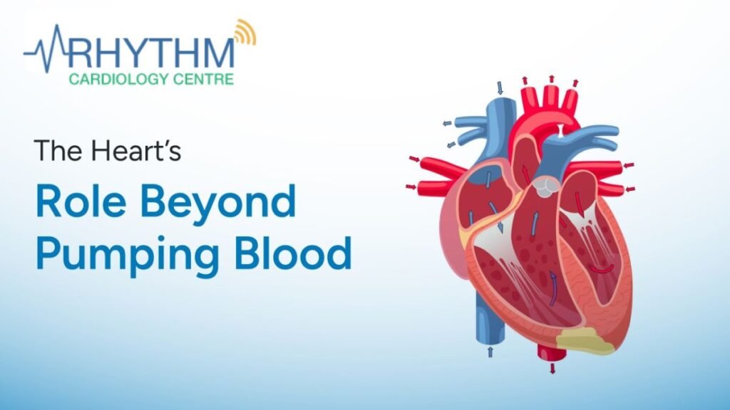 Cardiologists