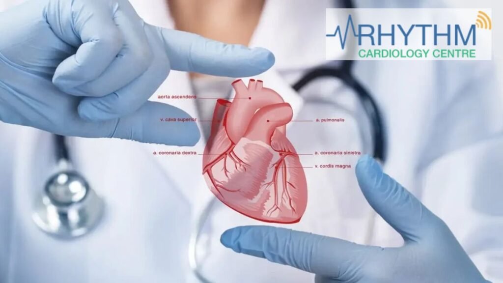 Cardiologists